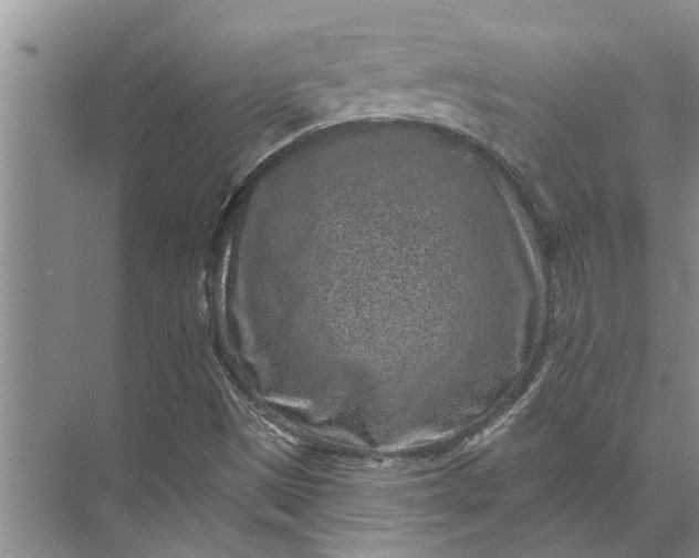 X0000071801497200607150133