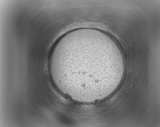 X0000071801498200607150133