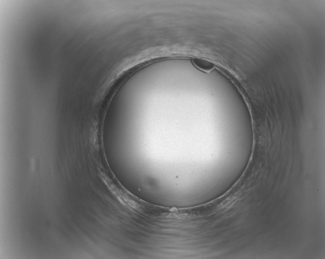 X0000071801499200607150133