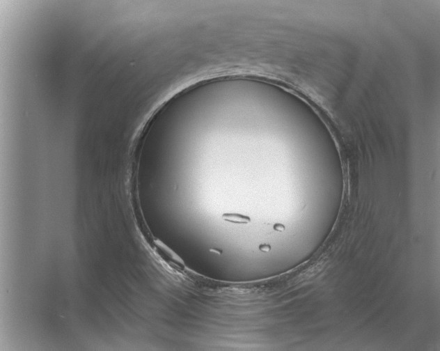 X0000071801500200607150133