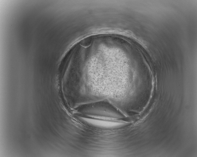 X0000071801501200607150133