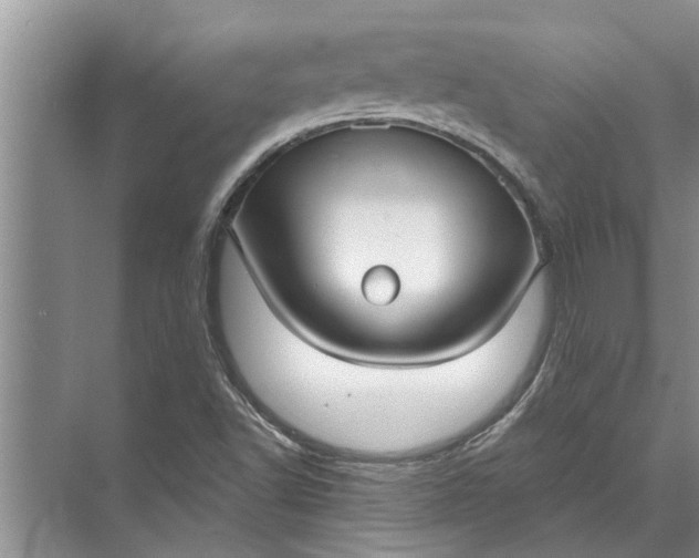 X0000071801502200607150133