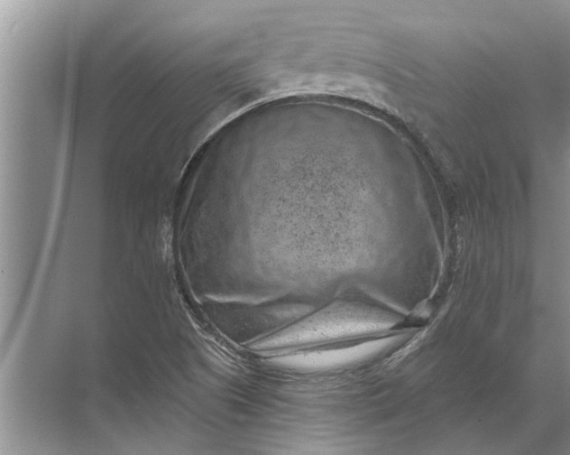 X0000071801505200607150133