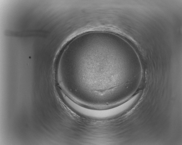 X0000071801506200607150133