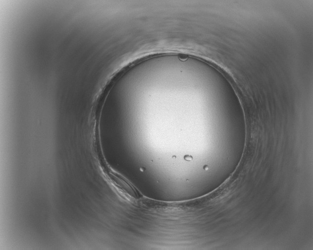 X0000071801507200607150133