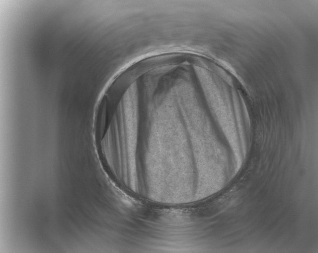 X0000071801508200607150133