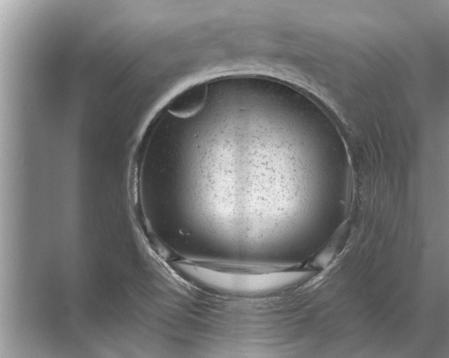 X0000071801510200607150133