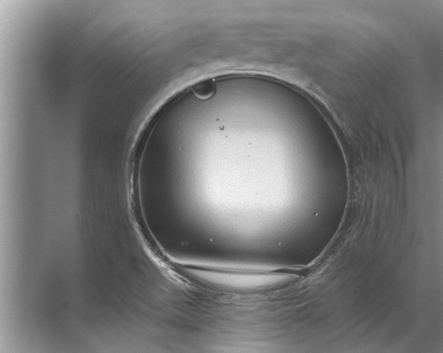 X0000071801511200607150133