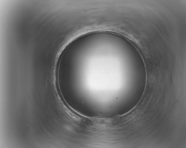 X0000071801512200607150133