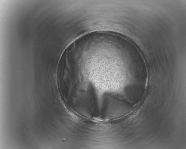 X0000071801513200607150133