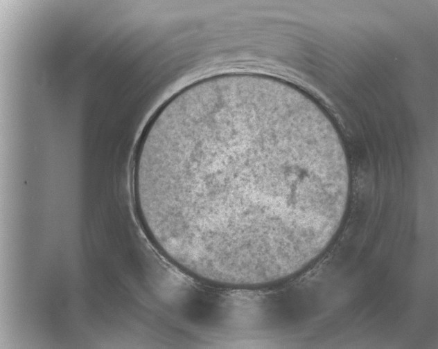 X0000071801514200607150133