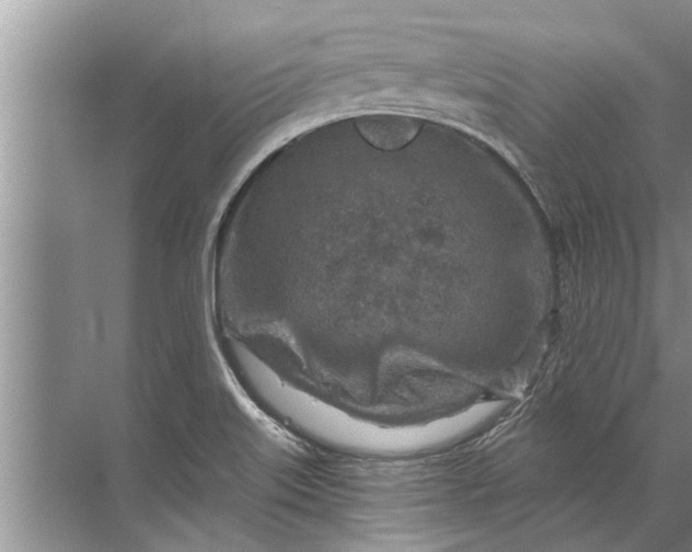 X0000071801515200607150133