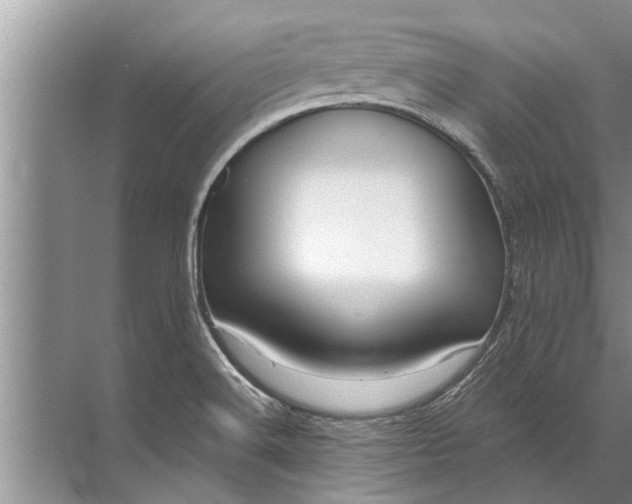 X0000071801516200607150133