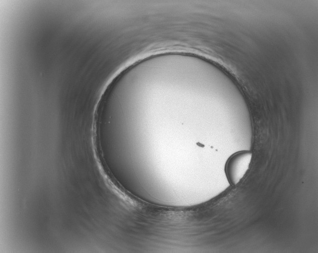 X0000071801518200607150133