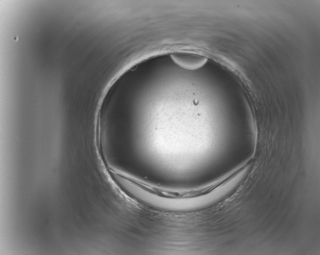 X0000071801520200607150133