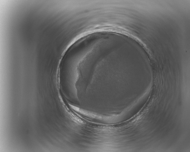 X0000071801522200607150133