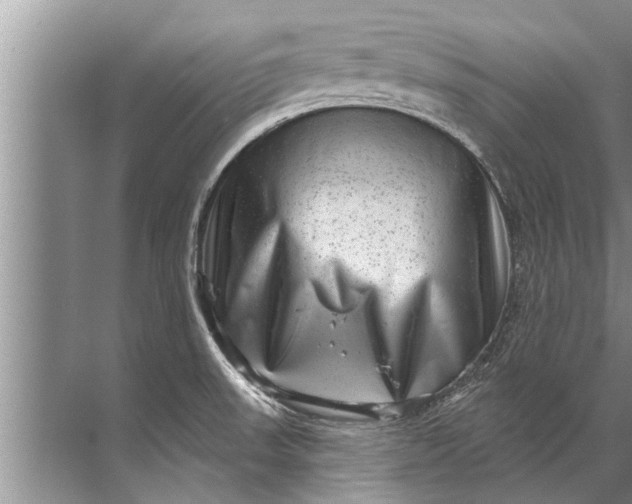 X0000071801523200607150133