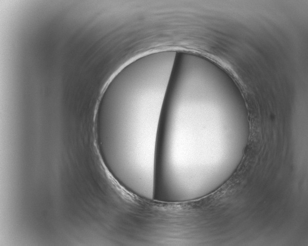 X0000071801524200607150133