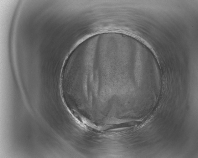 X0000071801525200607150133