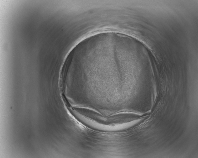 X0000071801527200607150133