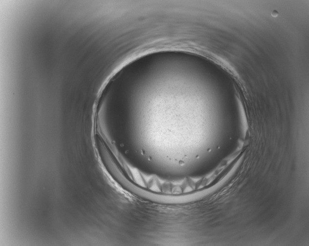 X0000071801528200607150133