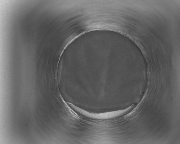 X0000071801529200607150133