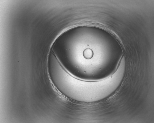 X0000071801530200607150133