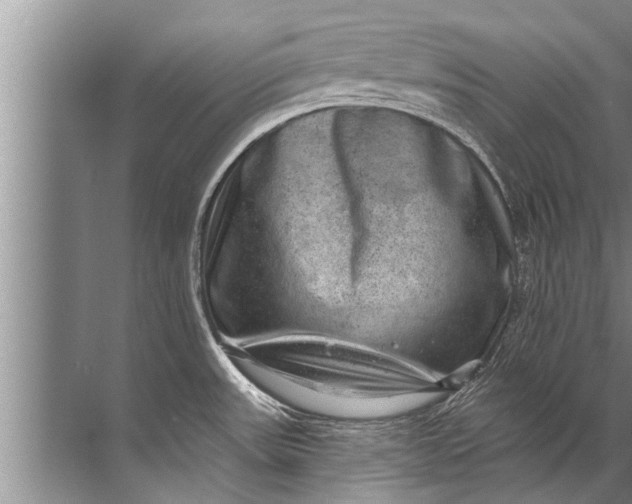 X0000071801531200607150133