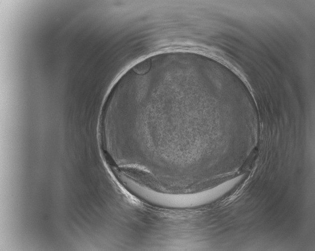 X0000071801533200607150133