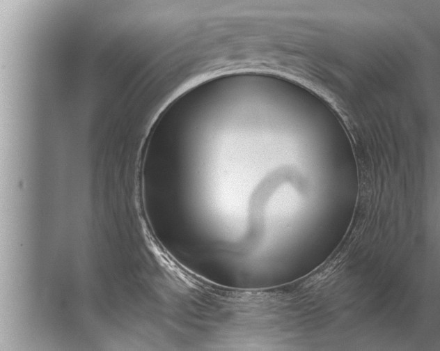 X0000071801534200607150134