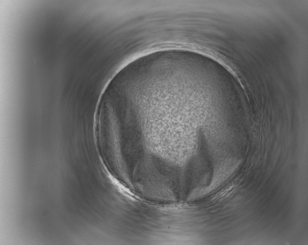 X0000071801535200607150134