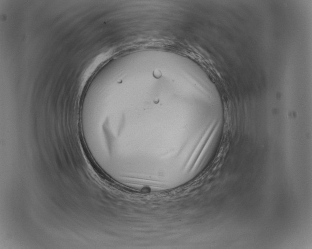 X0000071800003200607211658