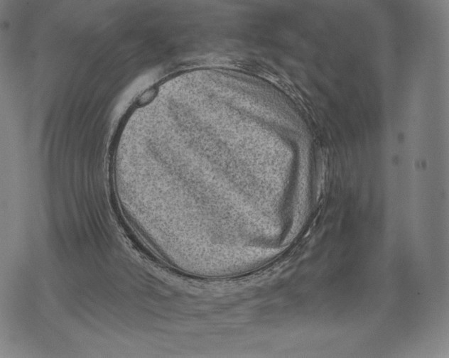 X0000071800006200607211658