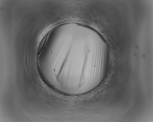 X0000071800007200607211658