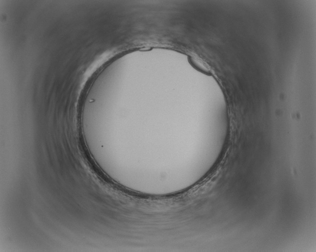 X0000071800008200607211658