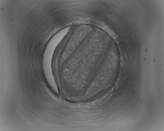 X0000071800009200607211658