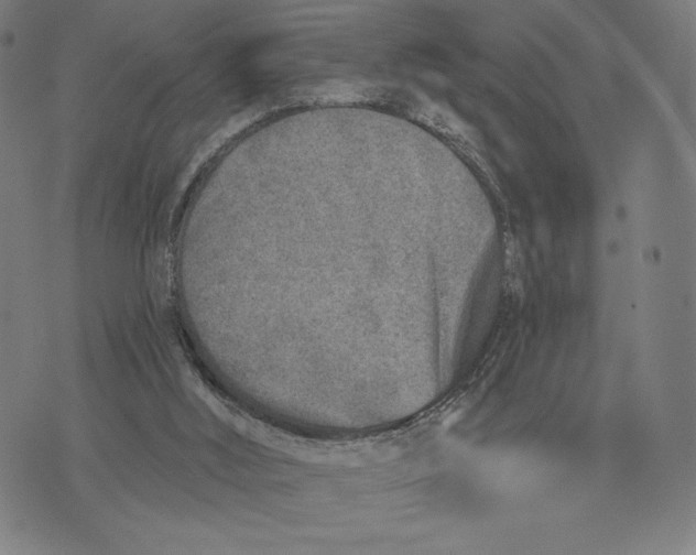 X0000071800012200607211658