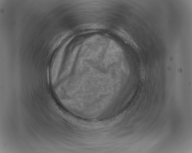 X0000071800014200607211658