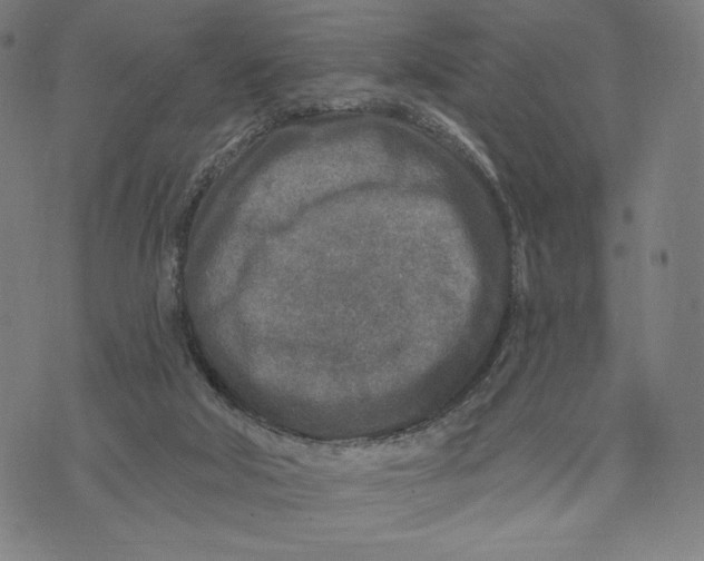 X0000071800018200607211658