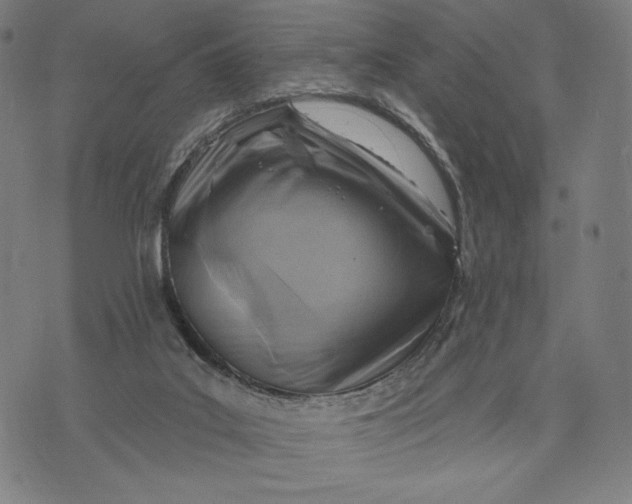 X0000071800019200607211658