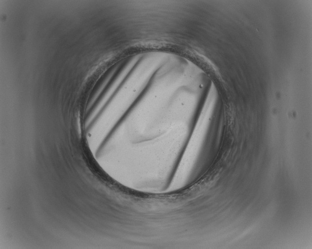 X0000071800020200607211658