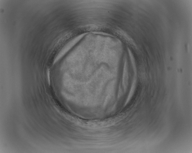 X0000071800022200607211658