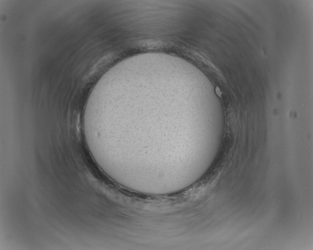 X0000071800024200607211658