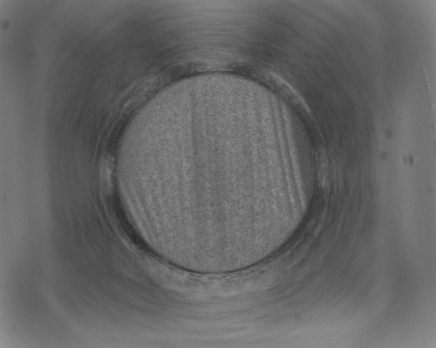 X0000071800026200607211658