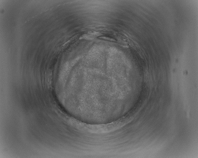 X0000071800030200607211658