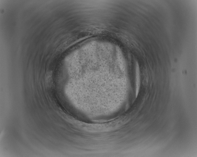 X0000071800034200607211658