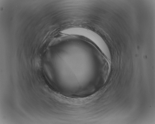 X0000071800035200607211658