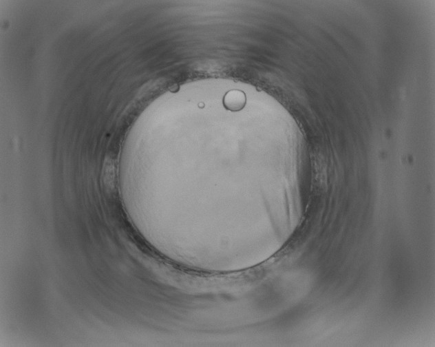 X0000071800036200607211658