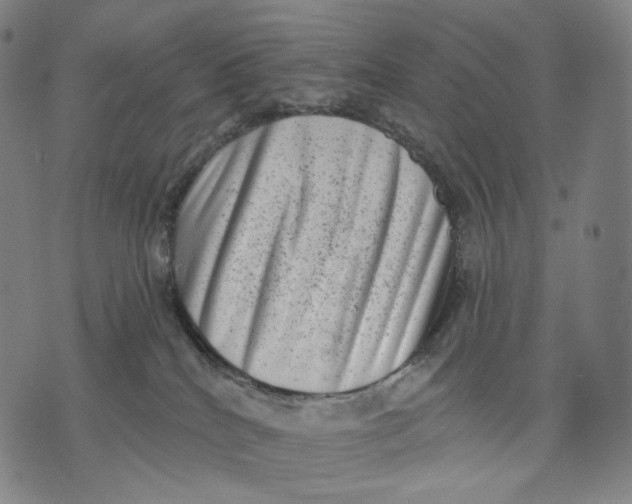 X0000071800040200607211658