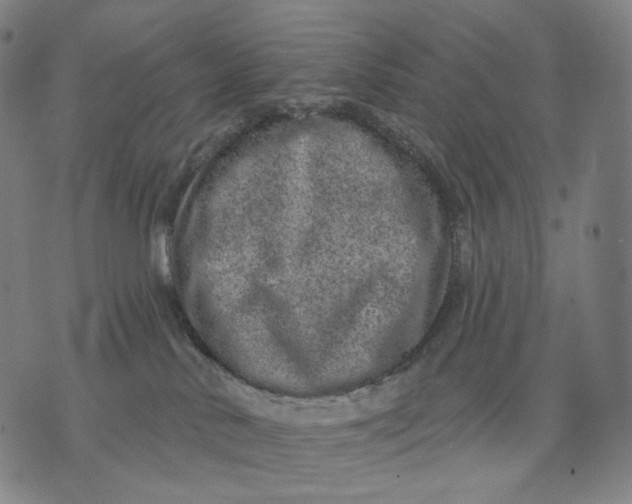 X0000071800042200607211658